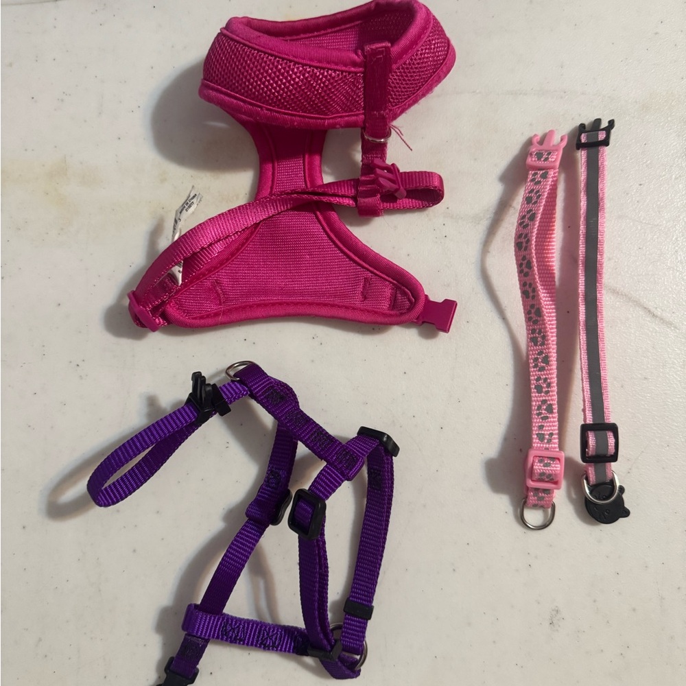 Pink and Purple animal Harness Set